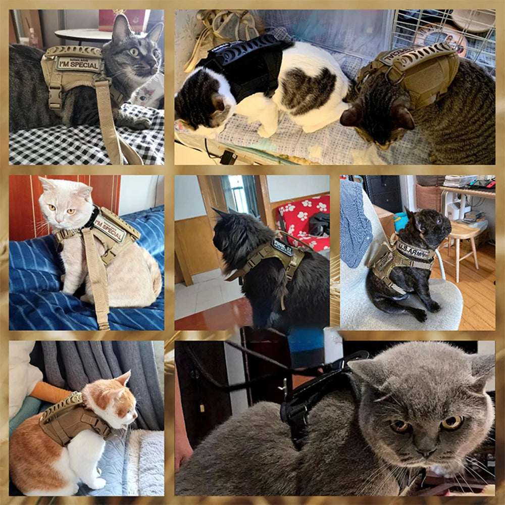 Tactical Cat Harness Leash 9Pcs Patches Walking Training Cat Accessories